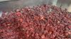 Blast frozen strawberries
