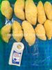 Frozen Durian Meat