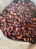 Cocoa Beans