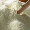 Skimmed Milk Powder