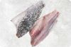 Frozen Barramundi (Sea...