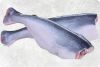 Frozen Pangasius (Swai...