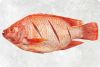 Frozen Tilapia