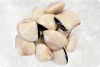 Frozen Clams