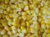 IQF sweet corn kernals