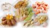 Rice Noodles Organic Hang Rice Fresh and Frozen Shrimps Ready-to-Eat Chickens 