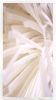 Rice Noodles Organic Hang Rice Fresh and Frozen Shrimps Ready-to-Eat Chickens 