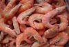 FROZEN SHRIMPS