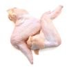  FREE SHIPPING Brazil Halal frozen chicken thighs
