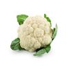 Cauliflower wholesale ...