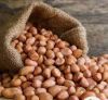 Groundnuts, Peanuts
