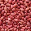 Red Skin Peanuts, Bold...