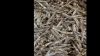 Smoked Herring Fish Dr...