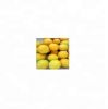 fresh eureka lemon ada...
