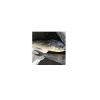 Block frozen mahi fish W/R for sale hot salebulk  mahi vietnam market cheap price 2-4 kg frozen fish mahi