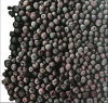 Best quality frozen Blueberry IQF Blueberry