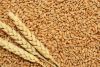LONG GRAAIN WHITE RICE...