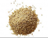 Good Qaulity Sorghum Seed For Sale