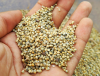 Millet available for E...
