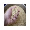 Wholesale Barley Grain...