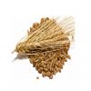 Premium-grade Barley M...
