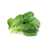 High-quality spinach l...