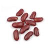 Authentic Red Kidney B...