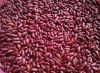 High Quality Raw Dried Fagioli Rossi Red Bean Wholesale Red Kidney Beans