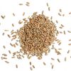 Organic Rye Grains /Or...