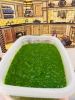 ALL-NATURAL FROZEN SPINACH PUREE / FIBER-PACKED / CLEAN LABEL / PURELY VEGAN