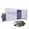 Energy Saving Grape Dr...