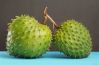 FROZEN SOURSOP FOR WEL...