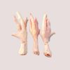 Chicken Feet (Standard)