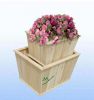 Wooden Planter Box, Wo...