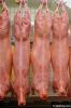 beaf veal cow sheep meat
