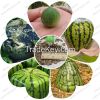 Sell Fresh Green Water...
