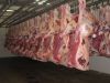 BEAF MEAT HALAL CERTIF...