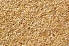 Brown Sesame seeds,cas...