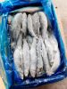 Frozen mackerel Fish f...