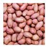 Best Quality Groundnut...