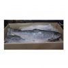 Premium IQF  Salmon Fi...