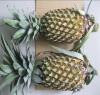 Fresh Pineapples Quali...