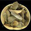 PREMIUM & AROMATIC...