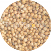 Top Quality Chickpeas ...