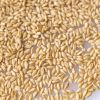 We Supply Durum Hard W...