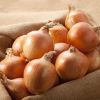 New Crop Red Yellow Onion Fresh Vegetables Fresh Onion Wholesale Sale Fresh Onions