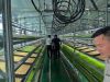 Hydroponic Fodder Syst...