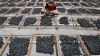 Hookah Briquettes (Shi...