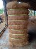 Cocofiber - Premium Co...