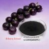 Bilberry Extract
